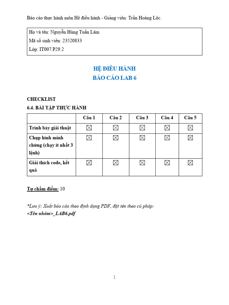 Lab 6 Hệ Điều hành UIT | PDF