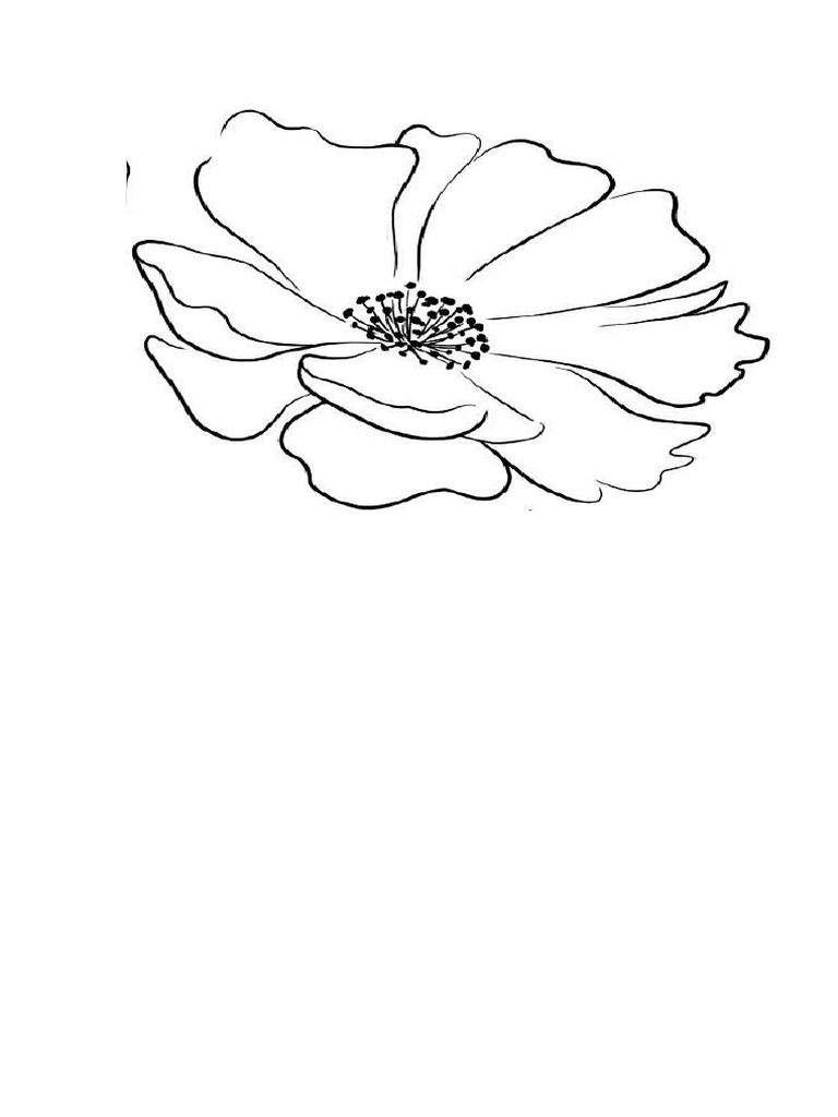 Fleur | PDF