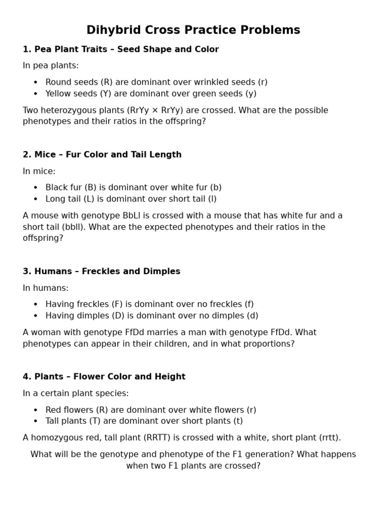Dihybrid Cross Practice Problems Guide | PDF | Genotype | Zygosity