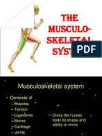 THE Musculo-Skeletal System