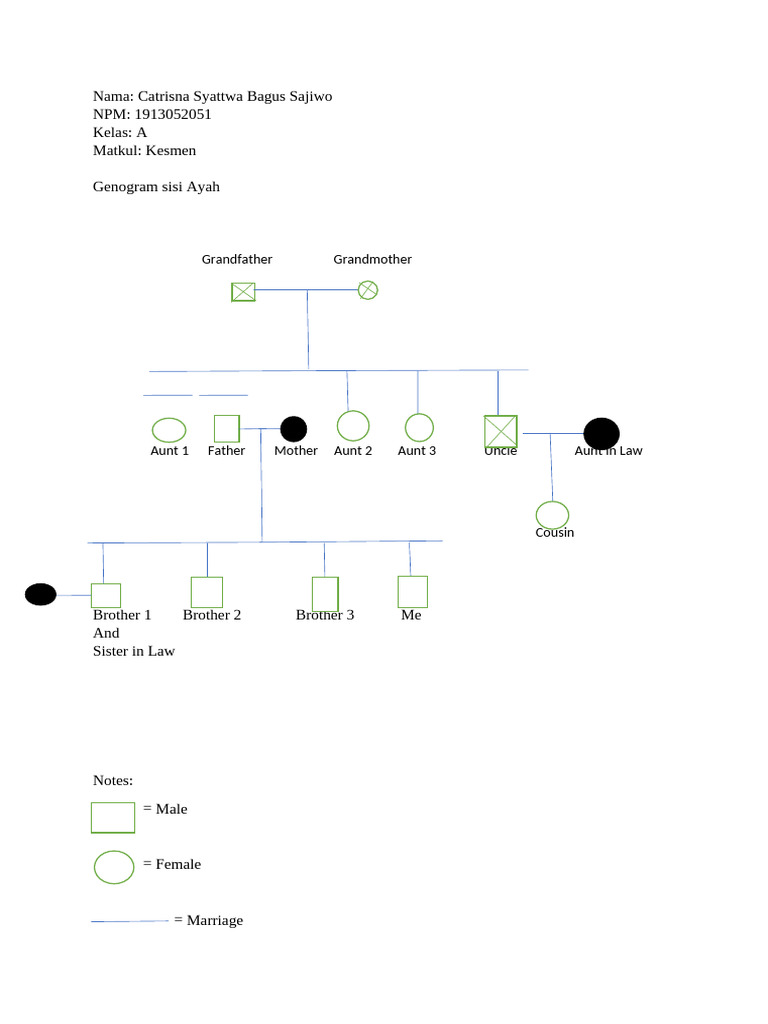 Genogram Bagus 1913052051 | PDF
