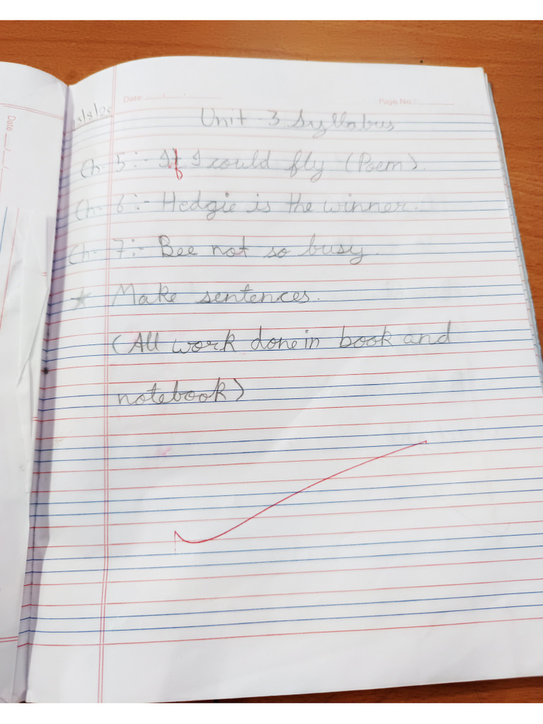 Unit 3 Copy Work | PDF