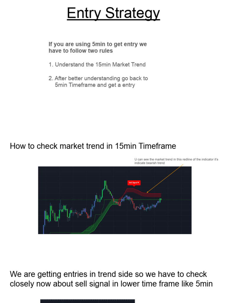 Entry Strategy | PDF