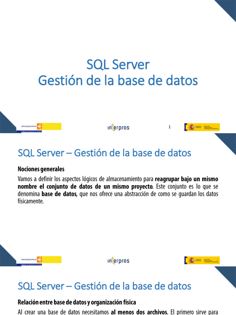 10 - Gestion de La Base de Datos | PDF | Servidor SQL de Microsoft ...