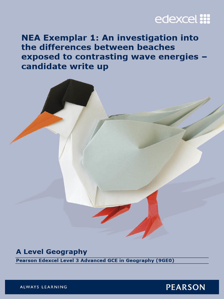 NEA Exemplar: Beach Wave Energy Study | PDF