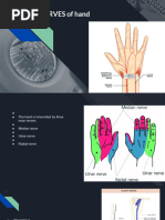 Kaplan's Cardinal Line in Hand Anatomy | PDF | Hand | Finger