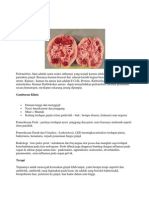 Pielonefritis Akut