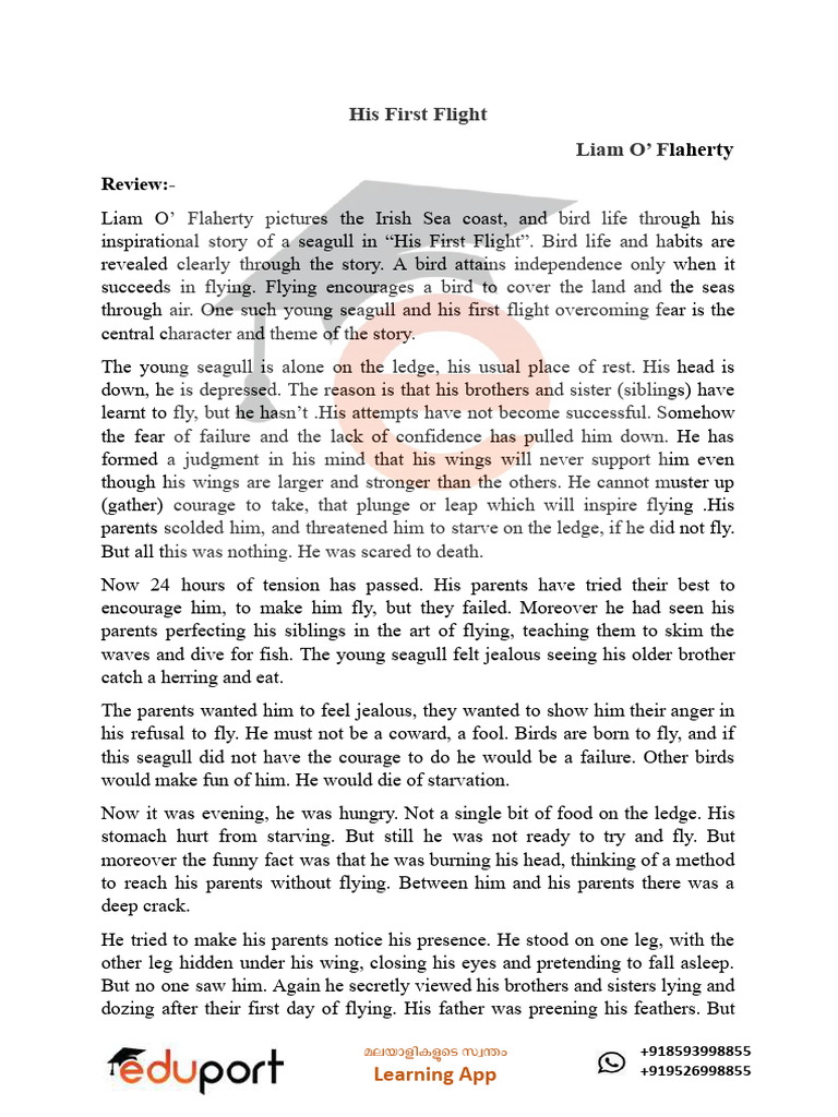 P1 E11 His First Flight Notes0809160458qgzivq | PDF | Fear