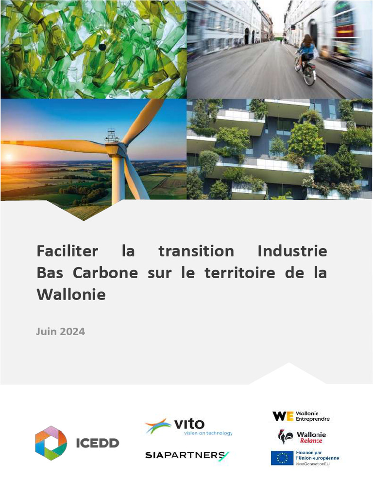 Transition vers une Industrie Bas Carbone en Wallonie | PDF ...