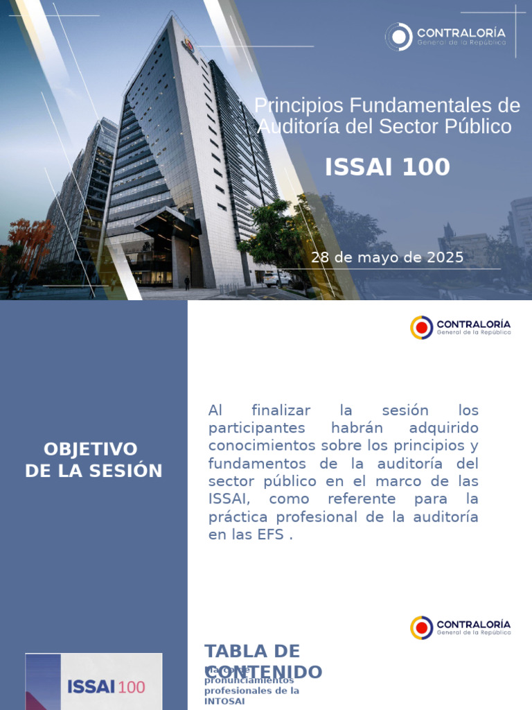 Principios de Auditoría ISSAI 100 | PDF | Auditoría | Contralor