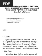 Download Pengaruh Konsentrasi Ekstrak Daun Sirih Merah Piper by Vania Febriyantie SN92076596 doc pdf