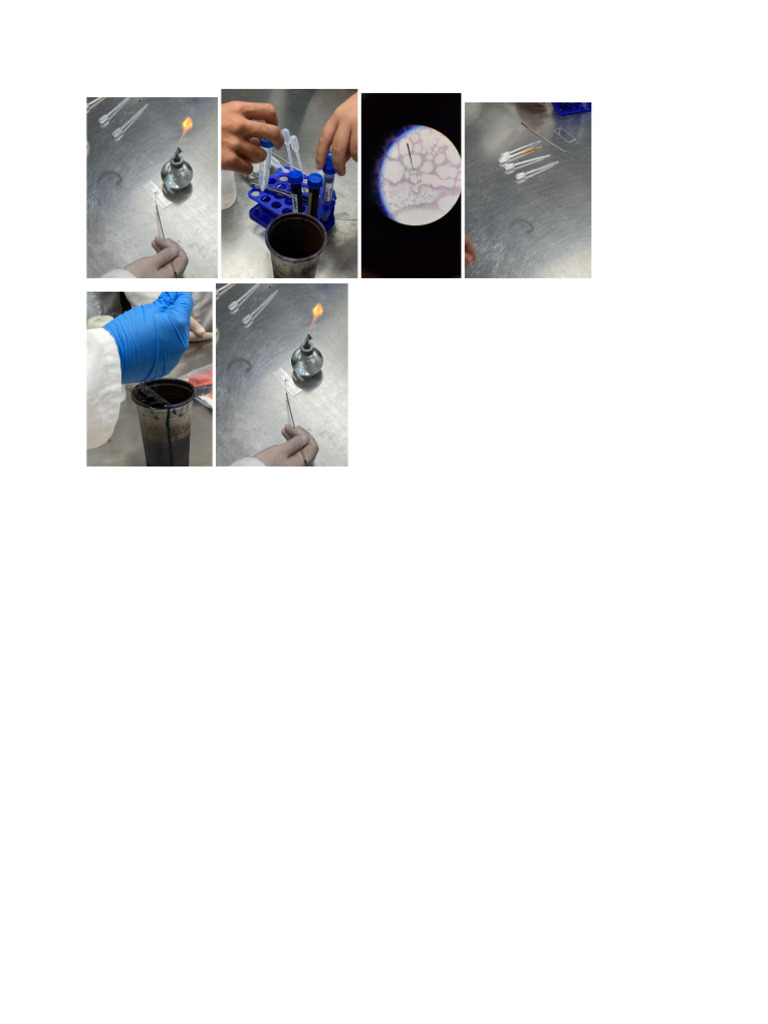 Bacter | PDF