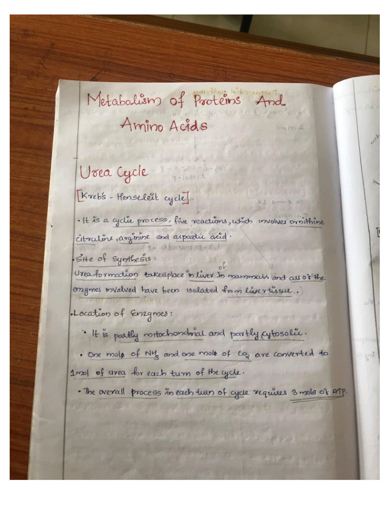 Biochemistry Notes | PDF