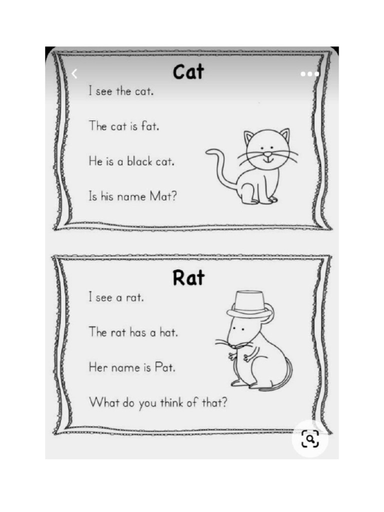 Cat | PDF