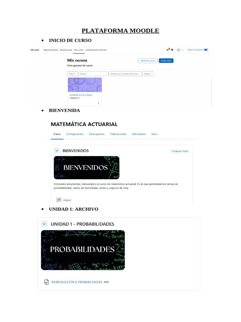 Plataforma Moodle | PDF