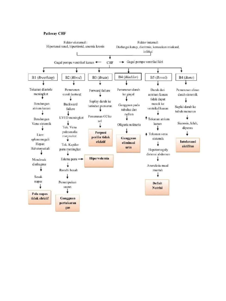 Pthway CHF Lolacantik | PDF