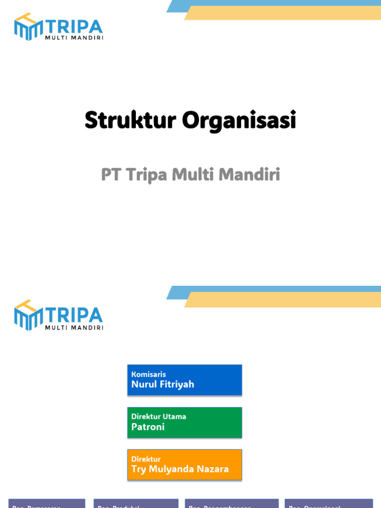 Struktur Organisasi PT Tripa Multi Mandiri | PDF