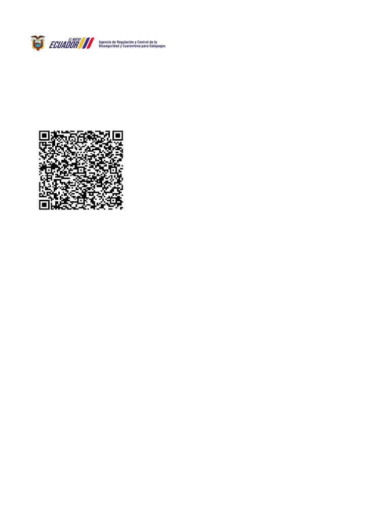 Abg Declaración Aérea | PDF
