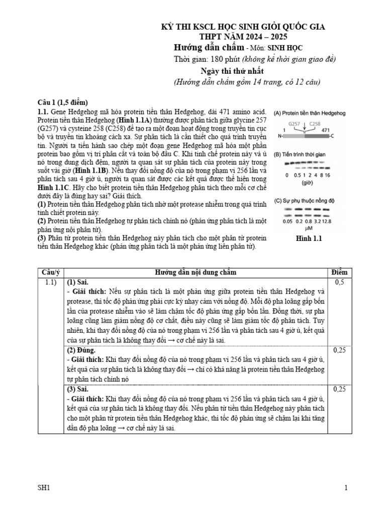 HDC Ngày 1 | PDF