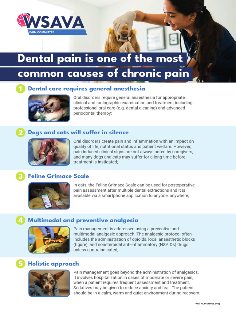 WSAVA Infographics PainCommittee-Dental | PDF