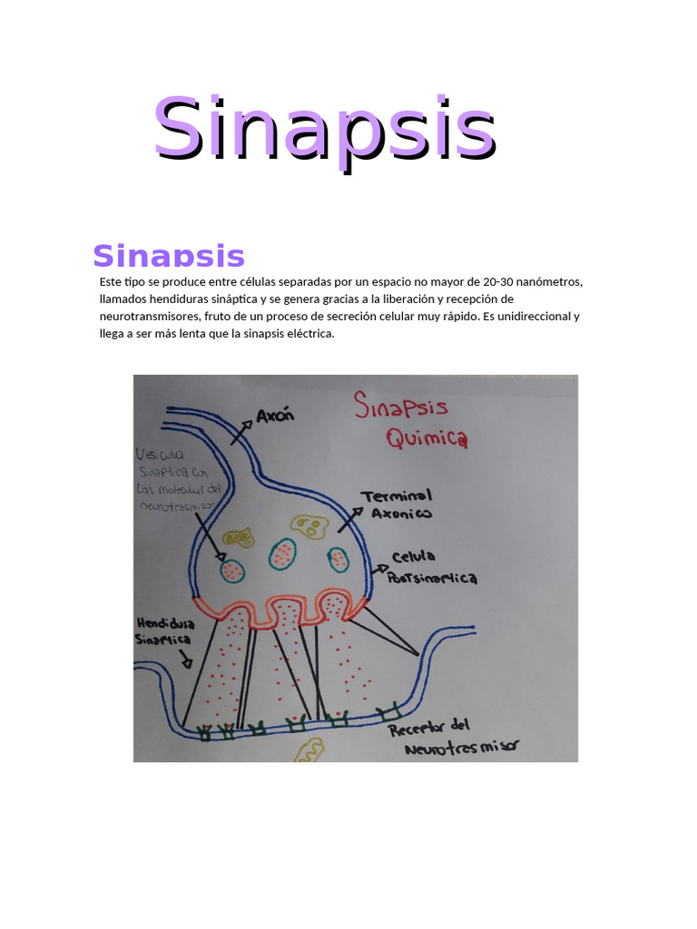 Sinapsis Quimica | PDF