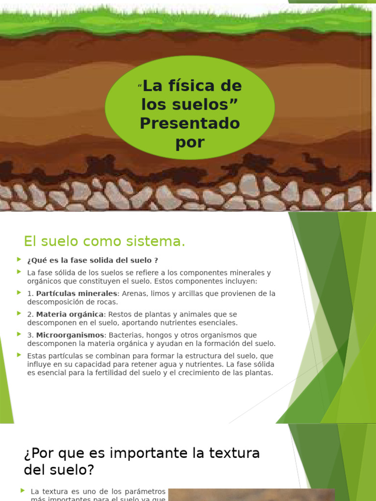 Fisica de Los Suelos | PDF | Suelo | Agua