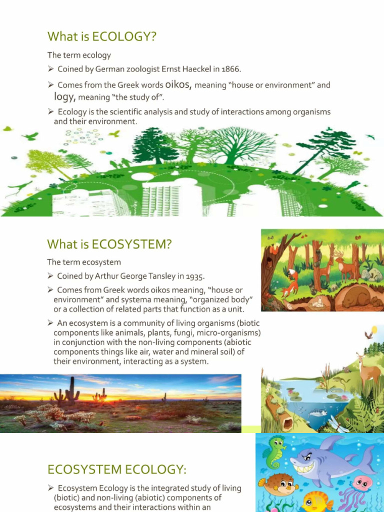 Ecosystem Class | PDF