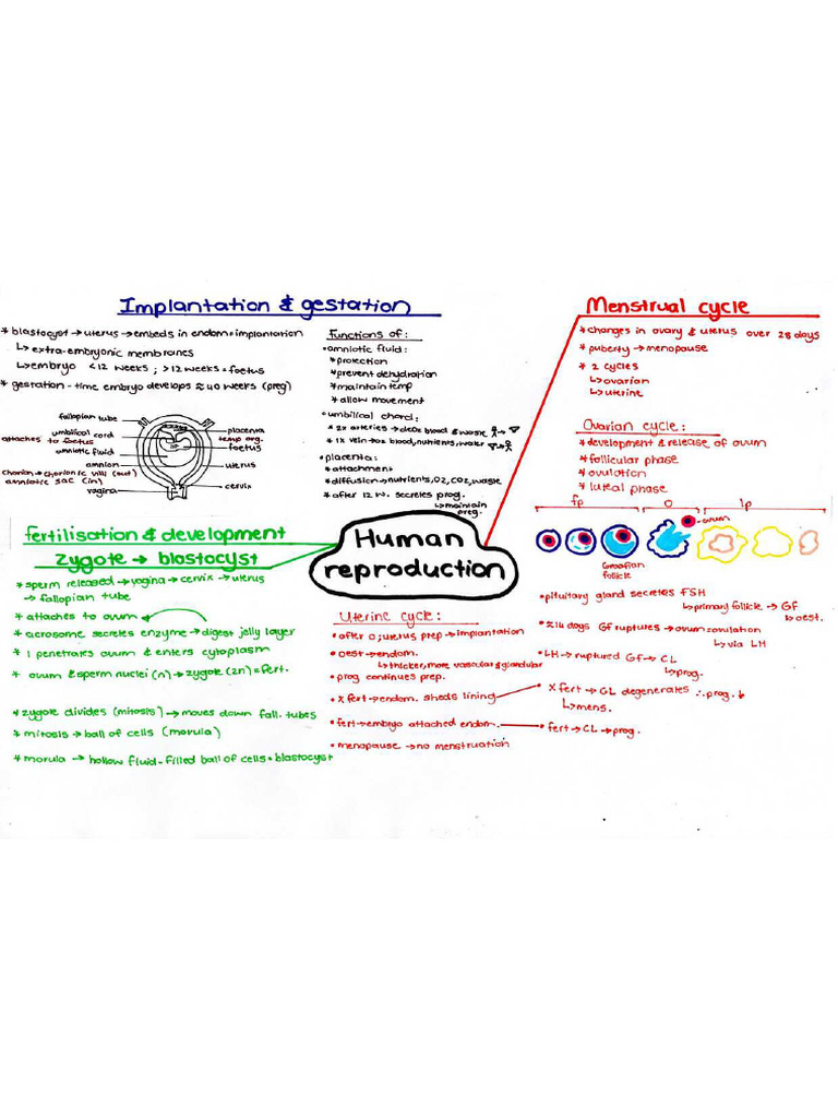 Human Reproduction | PDF