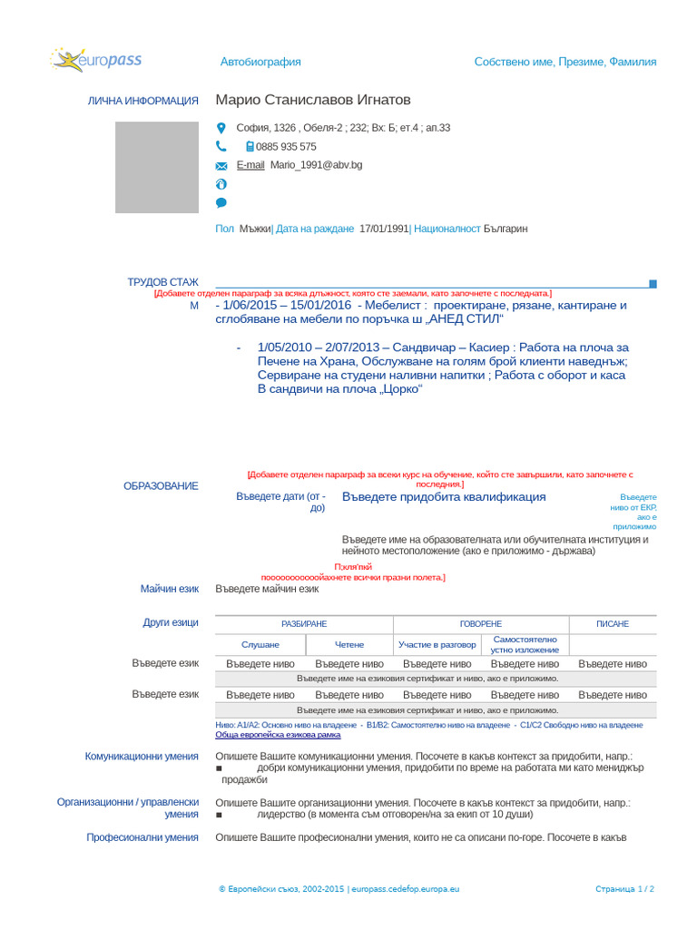 CV Template | PDF