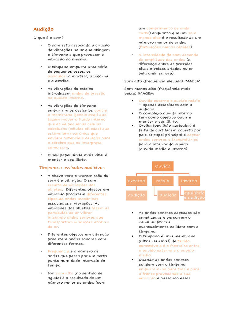 Como Funciona a Audição e o Som | PDF | Audição | Orelha