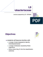 Enterobacteriaceae Curs