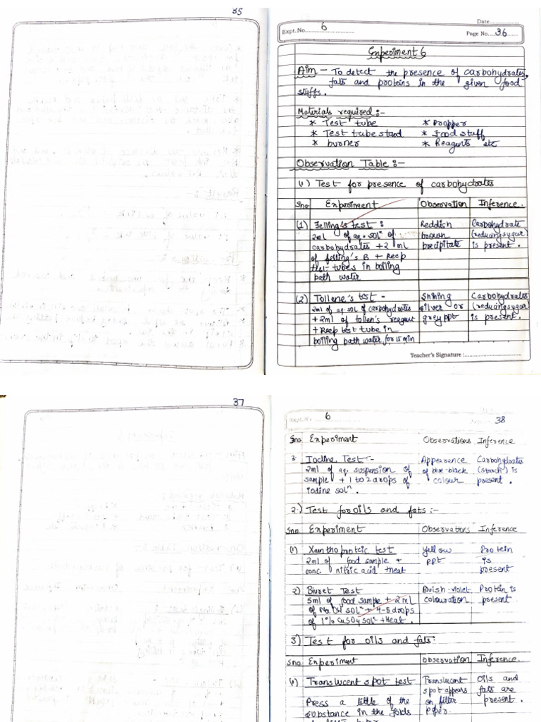 Document 44 | PDF