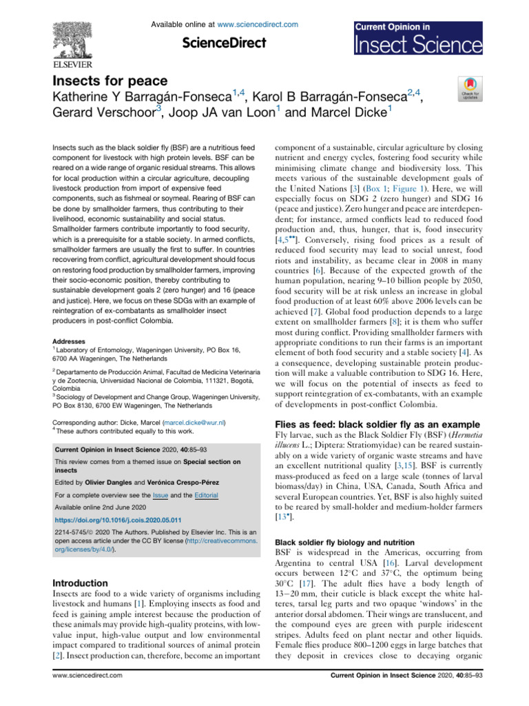 Insects as Sustainable Livestock Feed | PDF | Food Security | Agriculture