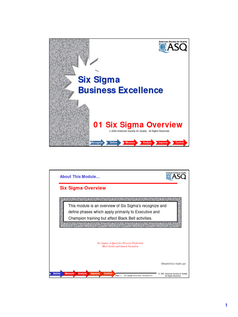 Six Sigma Overview and Methodology | PDF | Six Sigma | Business Process
