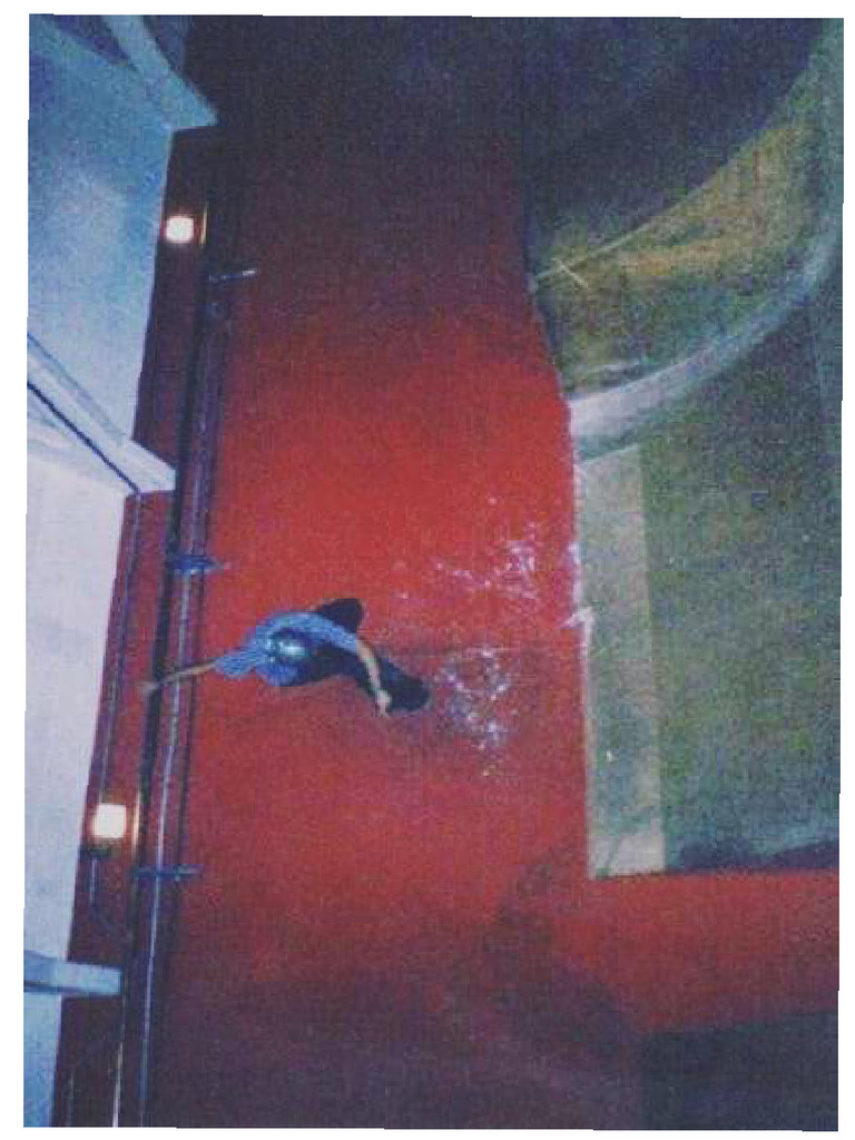 Wall Ride | PDF