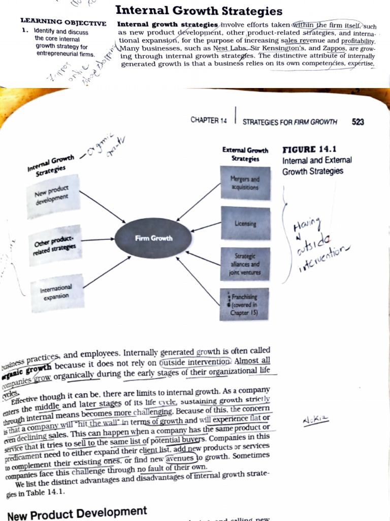 Entry Strategies | PDF
