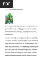 Download hidroponikbyNafiriFirmansyahSN92093731 doc pdf