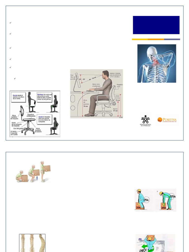 Guía de Higiene Postural y Ergonomía | PDF | Dolor lumbar