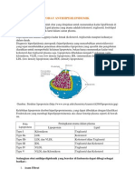 Obat Antihiperlipidemik