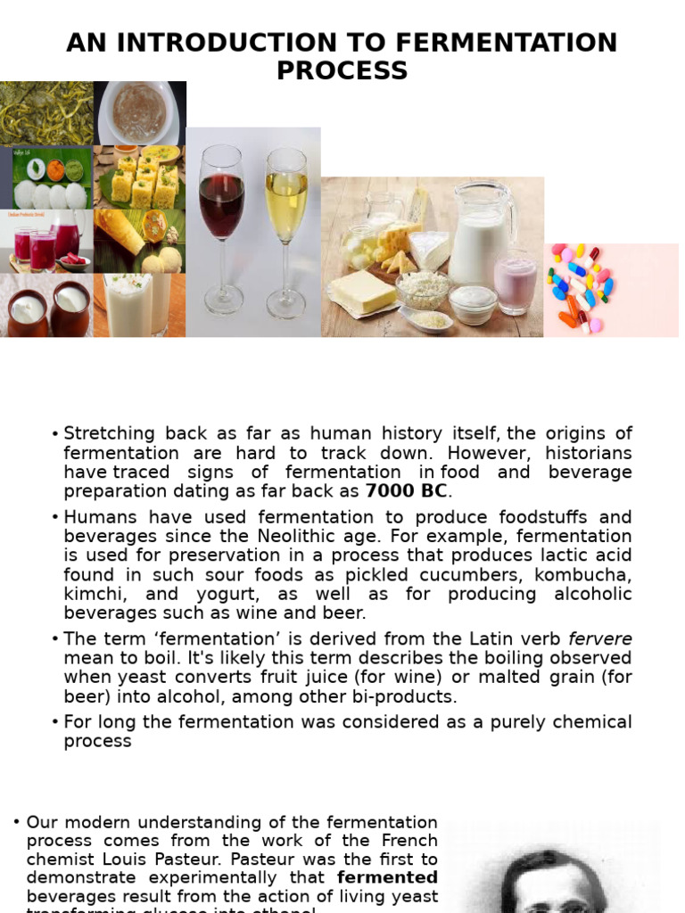 Intro Fermentation | PDF | Fermentation | Microorganism
