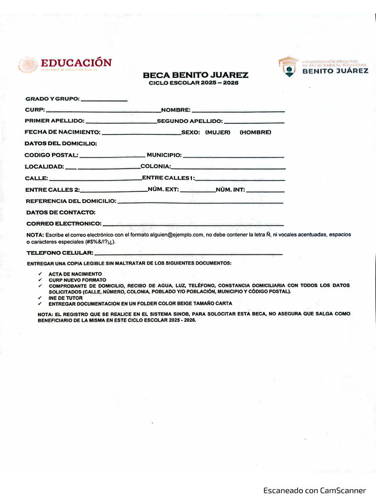 Formato Beca 2025 | PDF