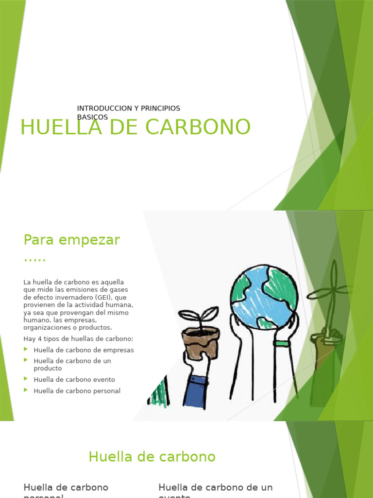 Trabajo Antonieta | PDF | Huella de carbono | Gases de efecto invernadero