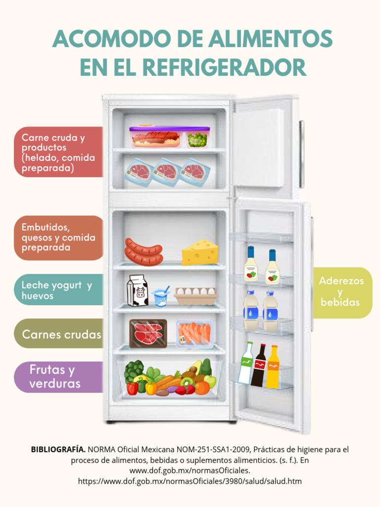 Acomodo de Alimentos en El Refrigerador | PDF
