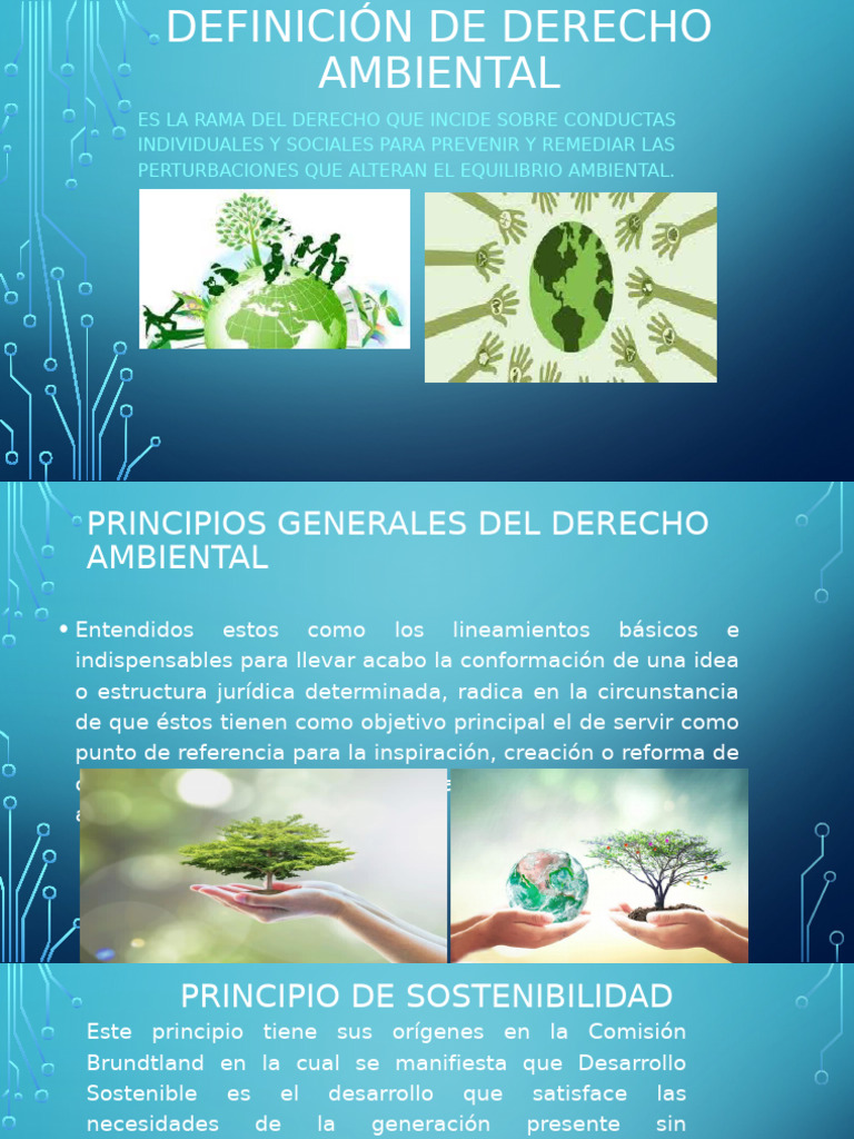 Principios del Derecho Ambiental | PDF | Sustentabilidad | Entorno natural