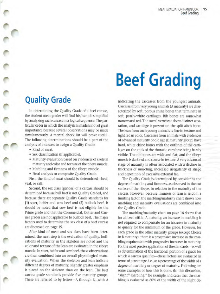 Beef Grading2022 | PDF
