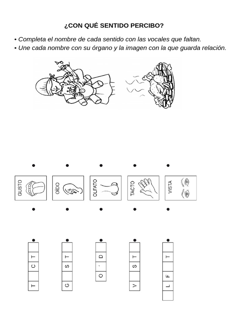 ¿Qué es percibo? Los sentidos explicados | PDF