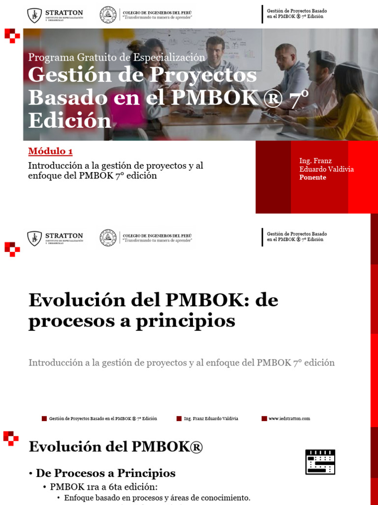 Gestión de Proyectos según PMBOK 7° Ed. | PDF | Gestión de proyectos ...