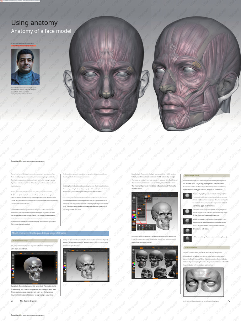 Face Modeling Anatomy in ZBrush | PDF | Face