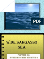 Wide Sargasso Sea (Dayang)