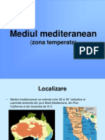 Mediul Mediteranean